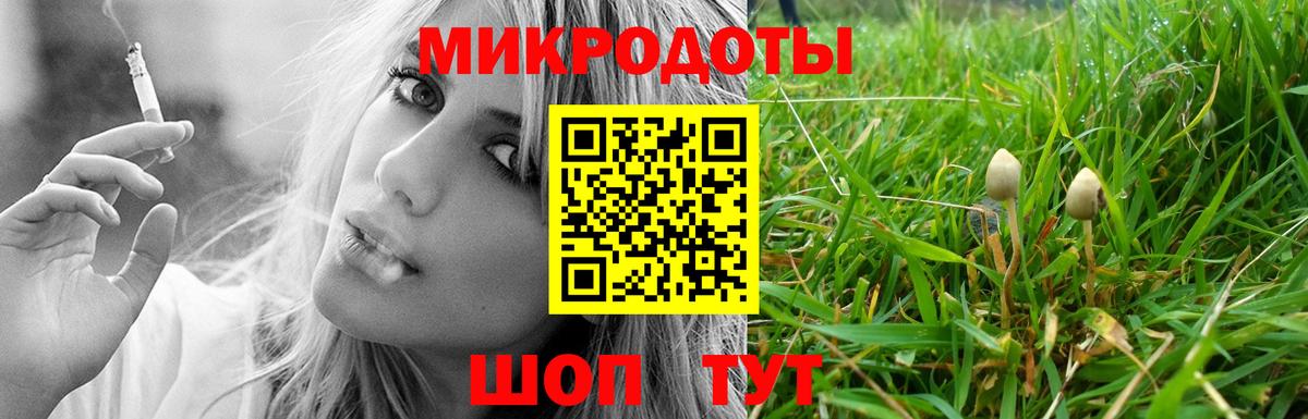 Псилоцибиновые грибы Psilocybe  Вход с VPN  Аргун 